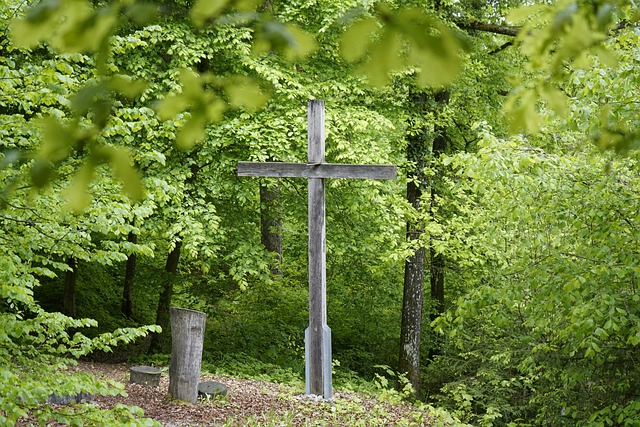Trostwald, Friedwald, Bäume, Kreuz